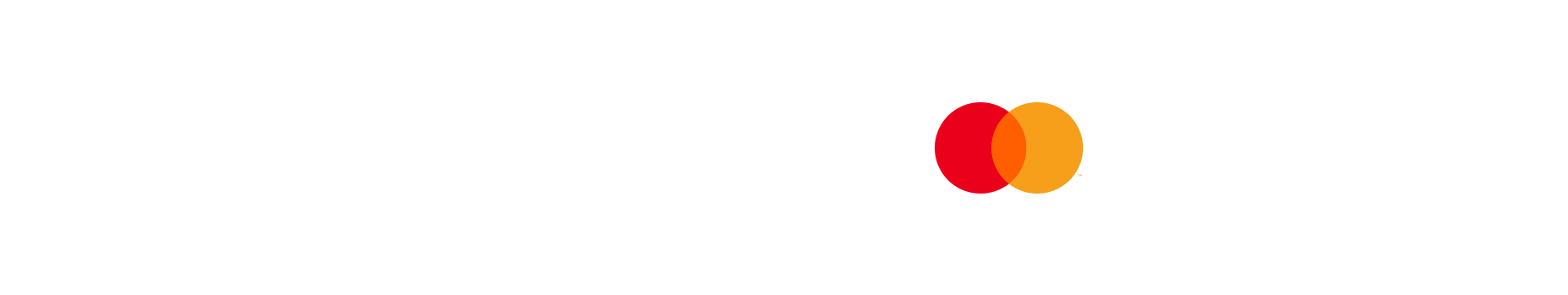 Mastercard/Visa Logo
